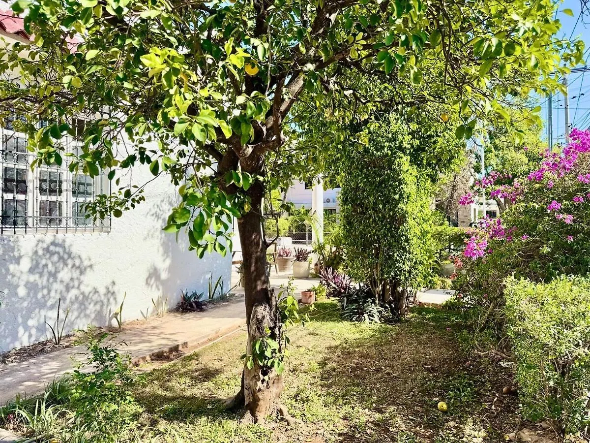 Casa Zapata, Merida, Yucatan A 1 Min Paseo Montejo Consulado Americano 0*,  Mexico